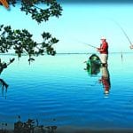 article image - 